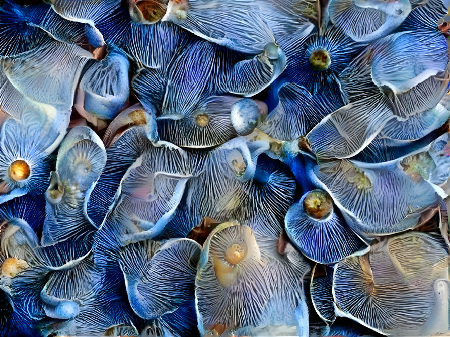 Blue Mushrooms