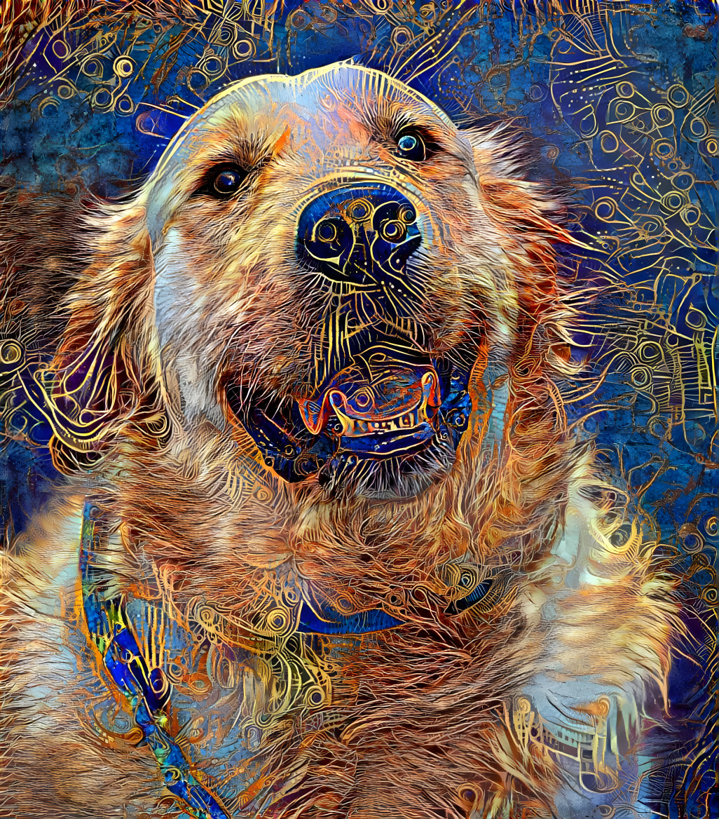 Dream Dog 2