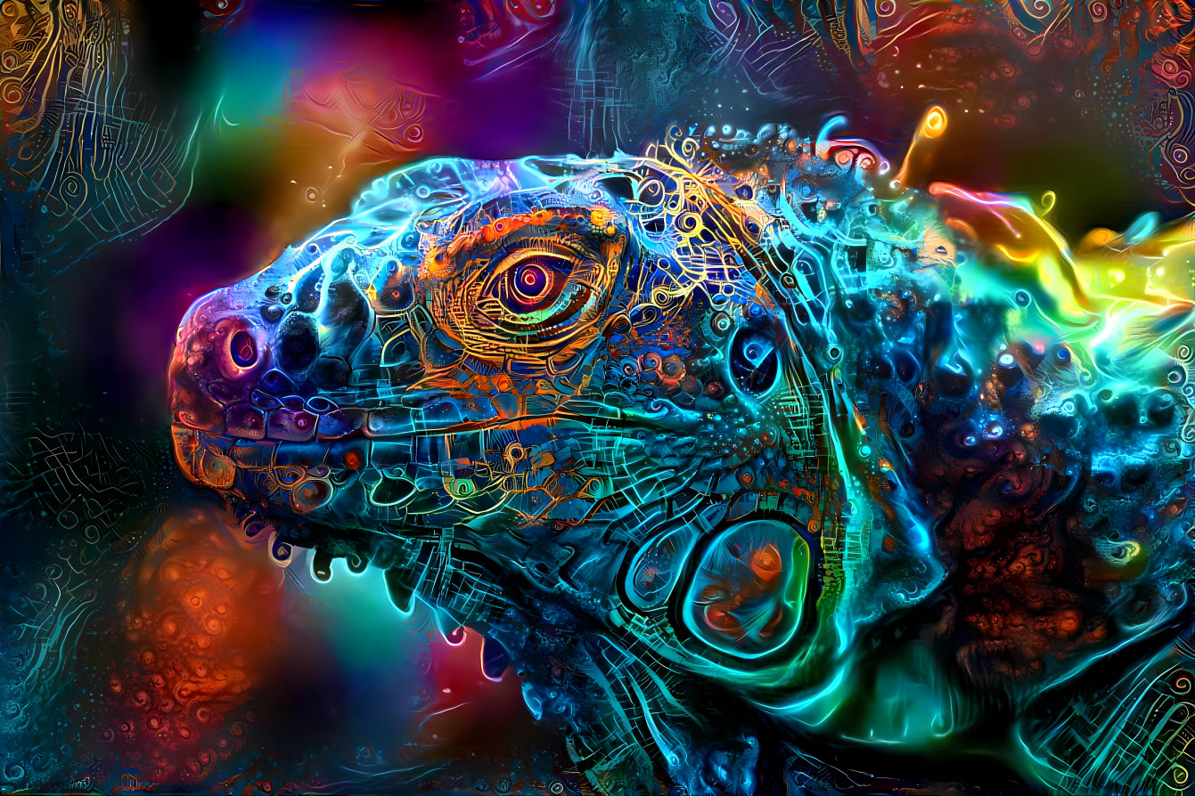 Dream Lizard 3