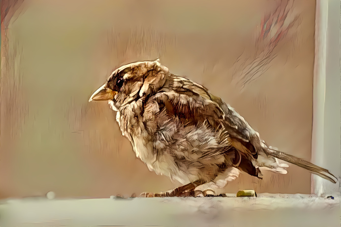 Bird Sketch