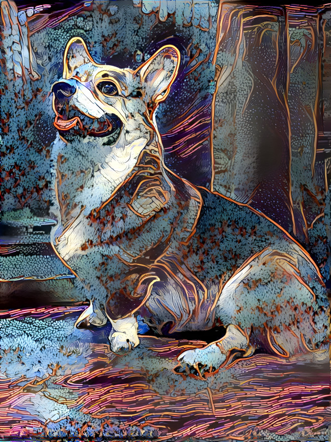 Dream Corgi 51