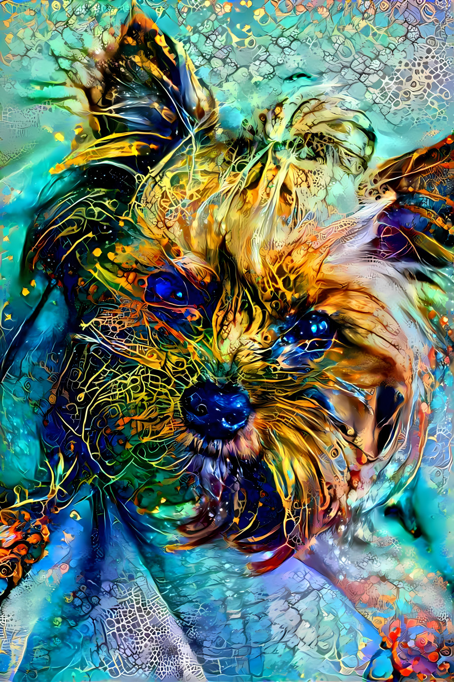 Dream Dog 3