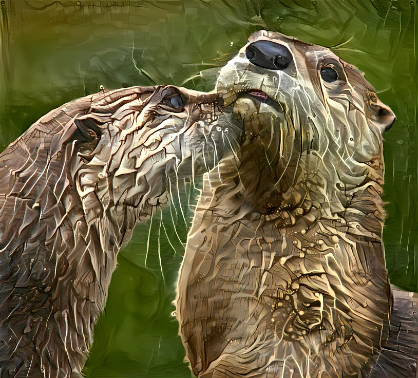 Otter Love