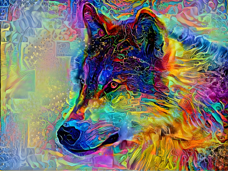 wolf