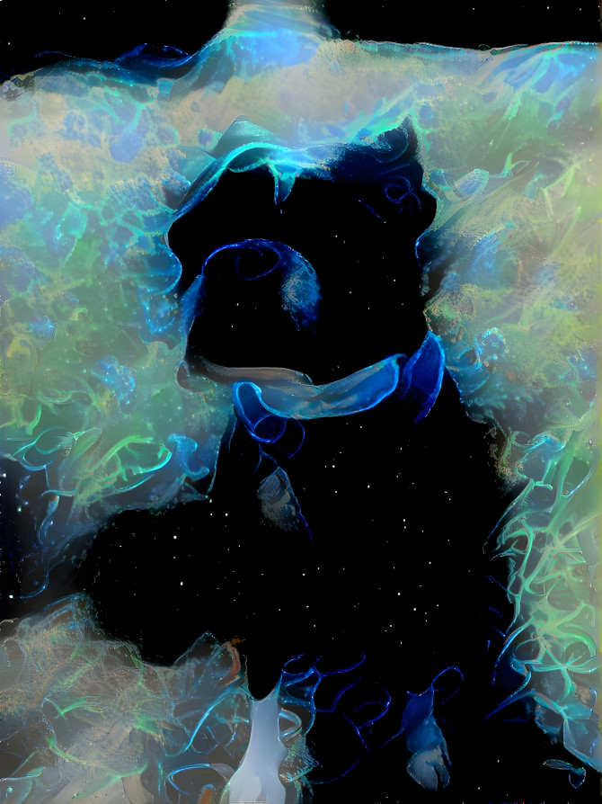 AstroPup