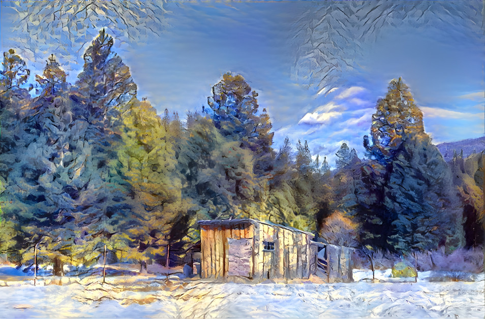 Black Butte Shed