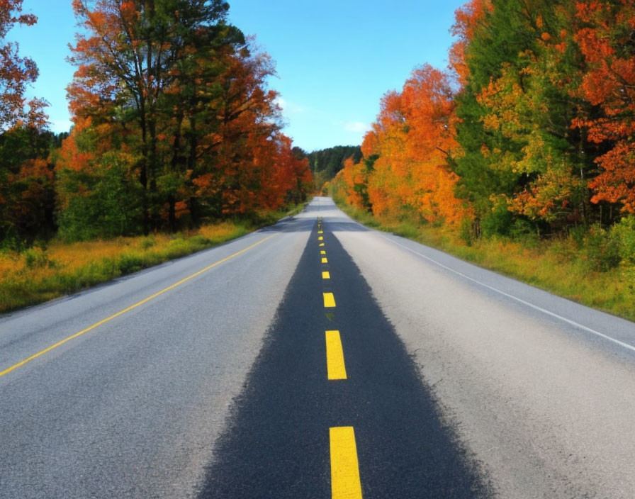 Autumn trees lining straight road under clear blue sky