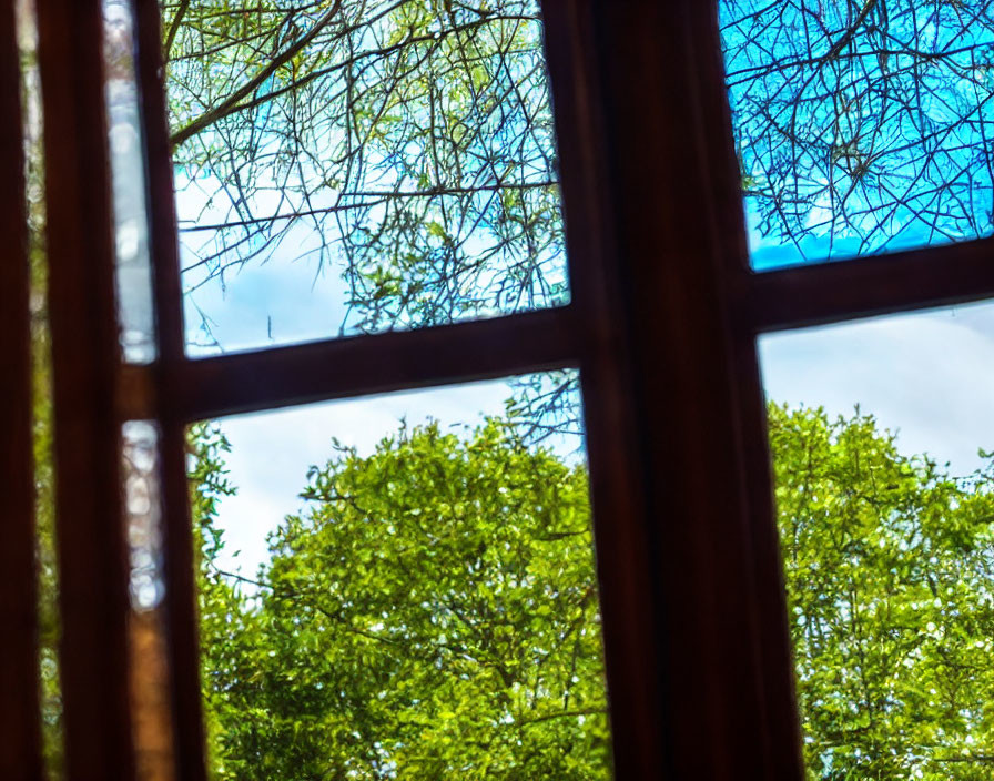 Scenic view of green trees and blue sky through wooden window