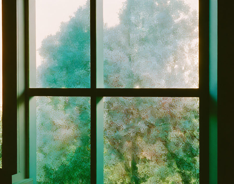 Condensation on window blurs view of lush trees in sunlight