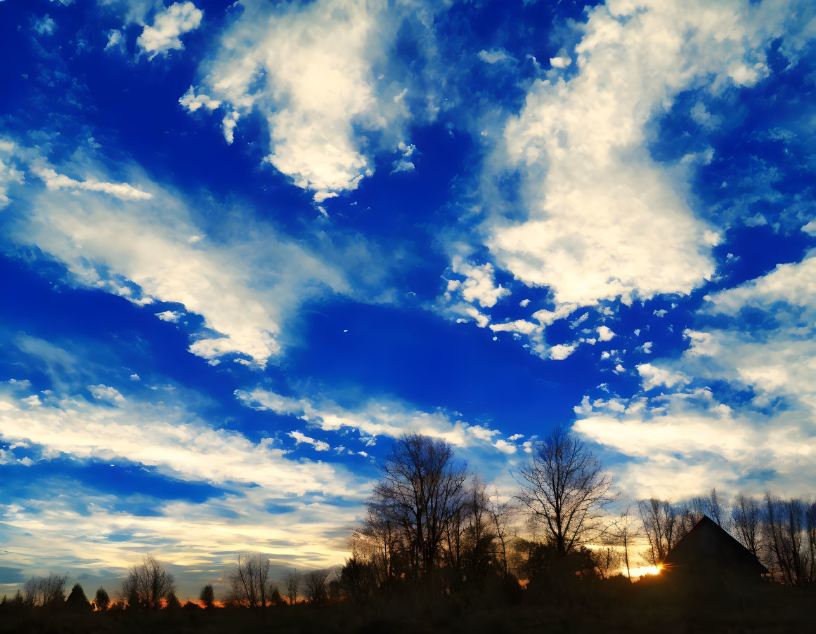 Vibrant sunset with silhouetted trees against blue sky.