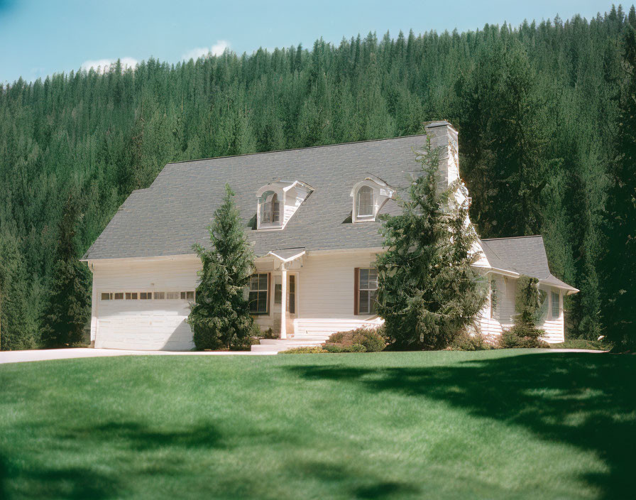 White suburban house with gabled roof in lush green setting