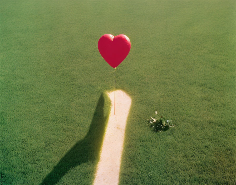 Heart-shaped balloon shadow over green field with bicycle.