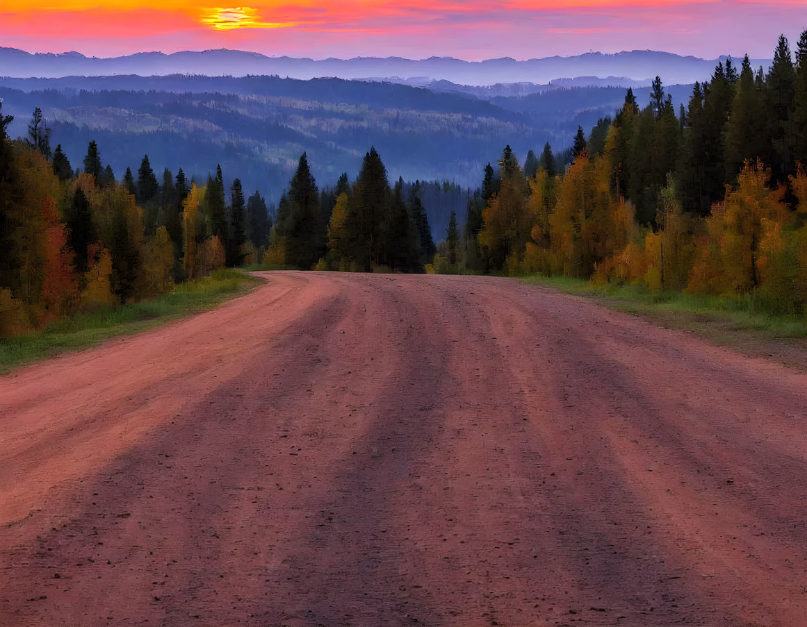 Autumn forest with colorful foliage and twilight sky on dirt road