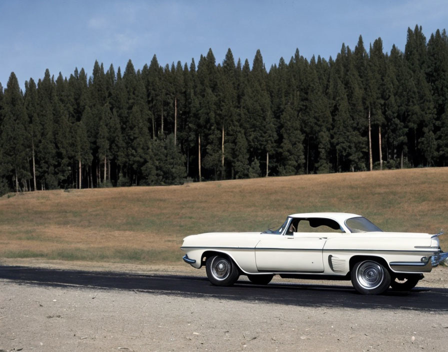 White Convertible Car on Dirt Road in Coniferous Forest