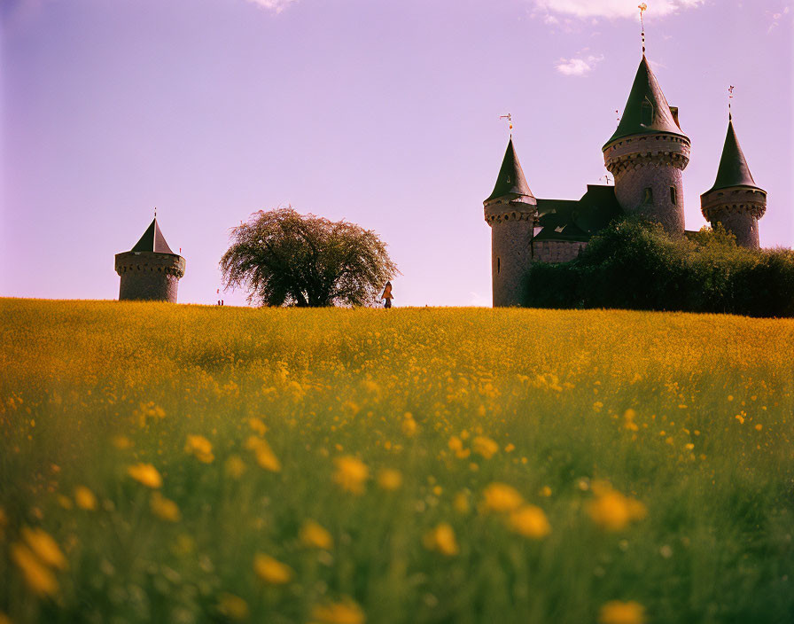 Castle with multiple towers against blue sky, yellow flowers, lone tree