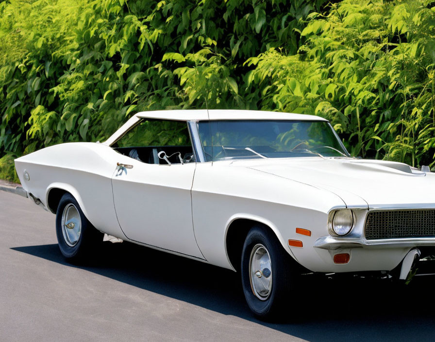 Vintage white convertible car parked next to lush green hedge on sunny day