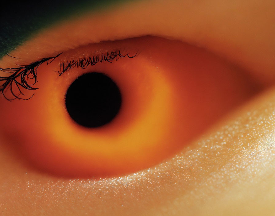 Detailed view of a human eye anatomy and texture.