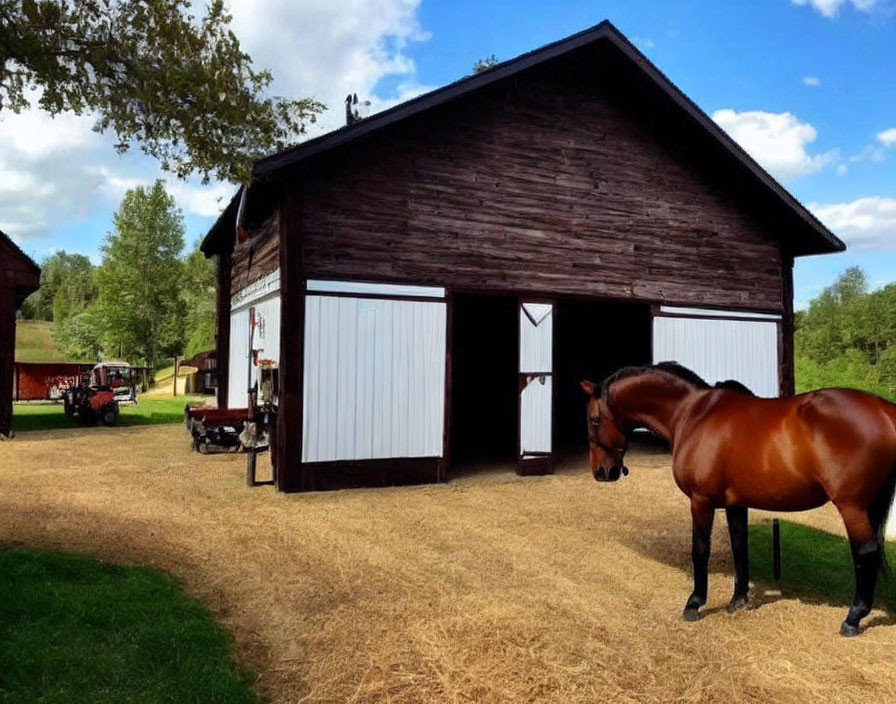 Brown horse near barn and tractor in grassy field under cloudy sky