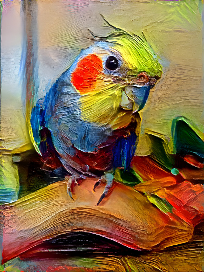 Cockatiel