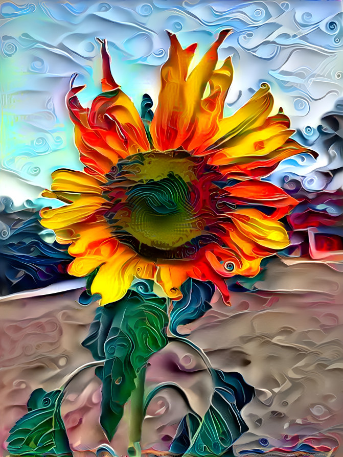 sunflower