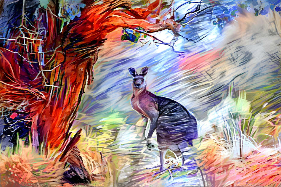 Kangaroo