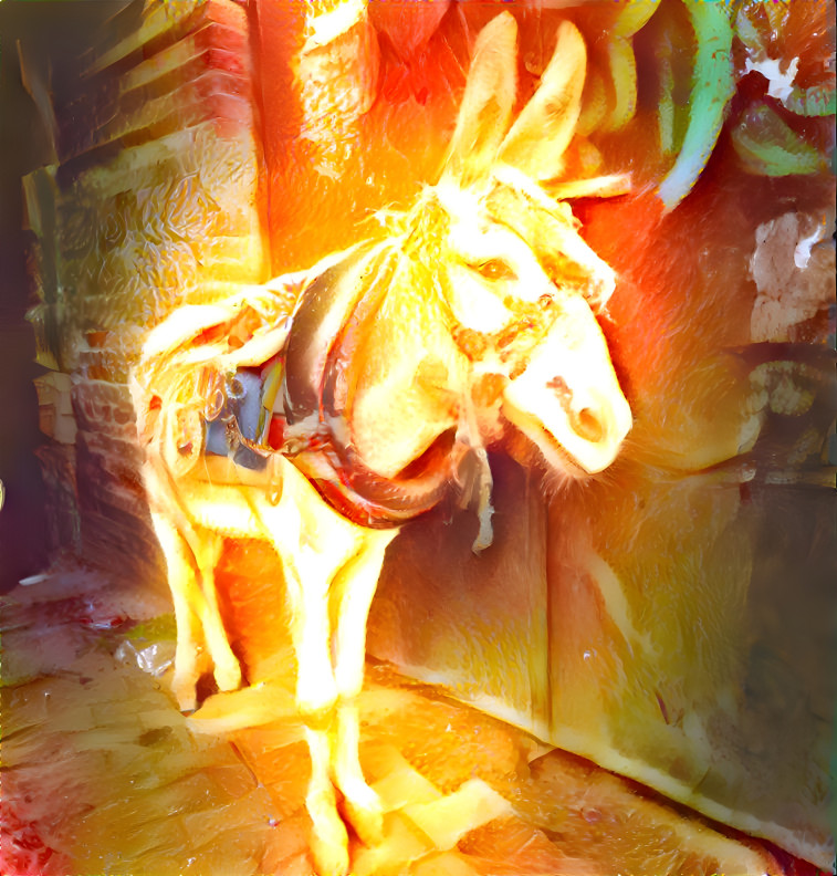 Golden Donkey