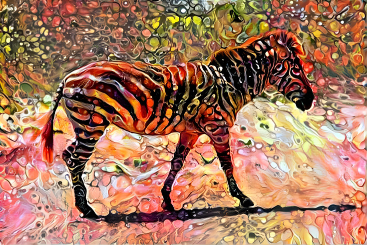 Rainbow Zebra