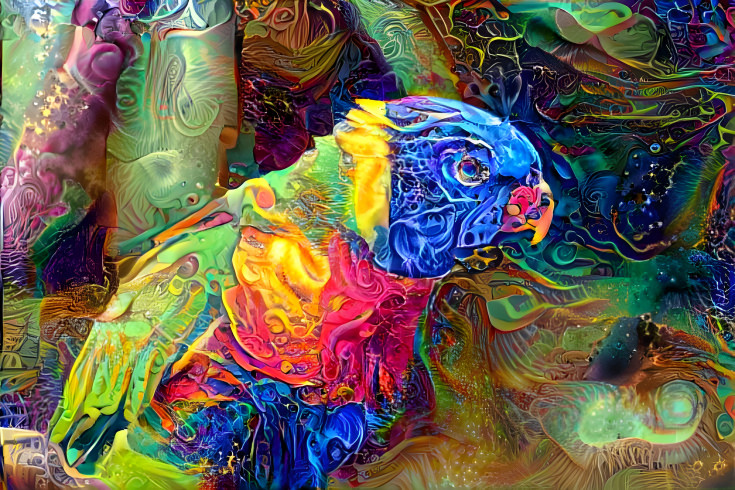 Parrot