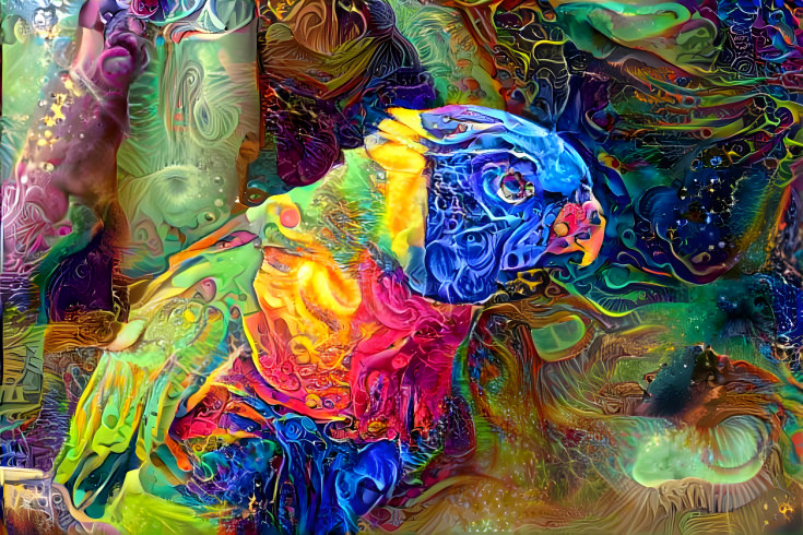 Parrot