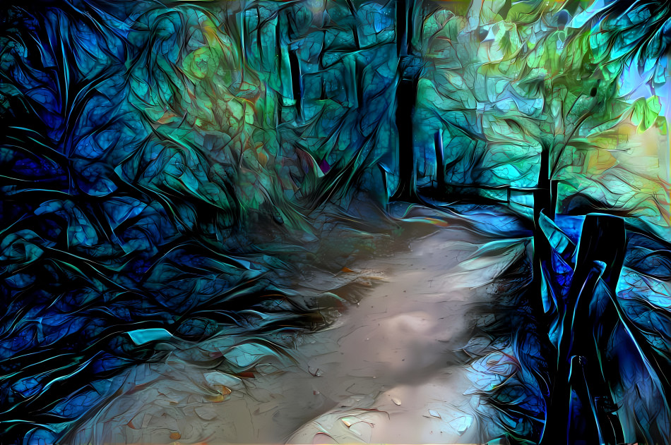 Dark Path in the Forest