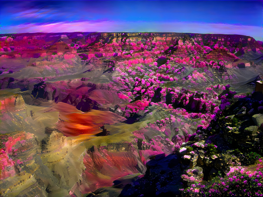 Flowers in the Grand Canyon