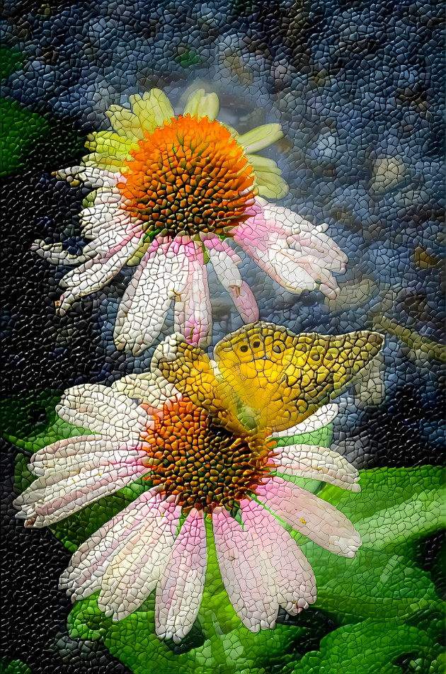 Monarch Butterfly on Cone Flower