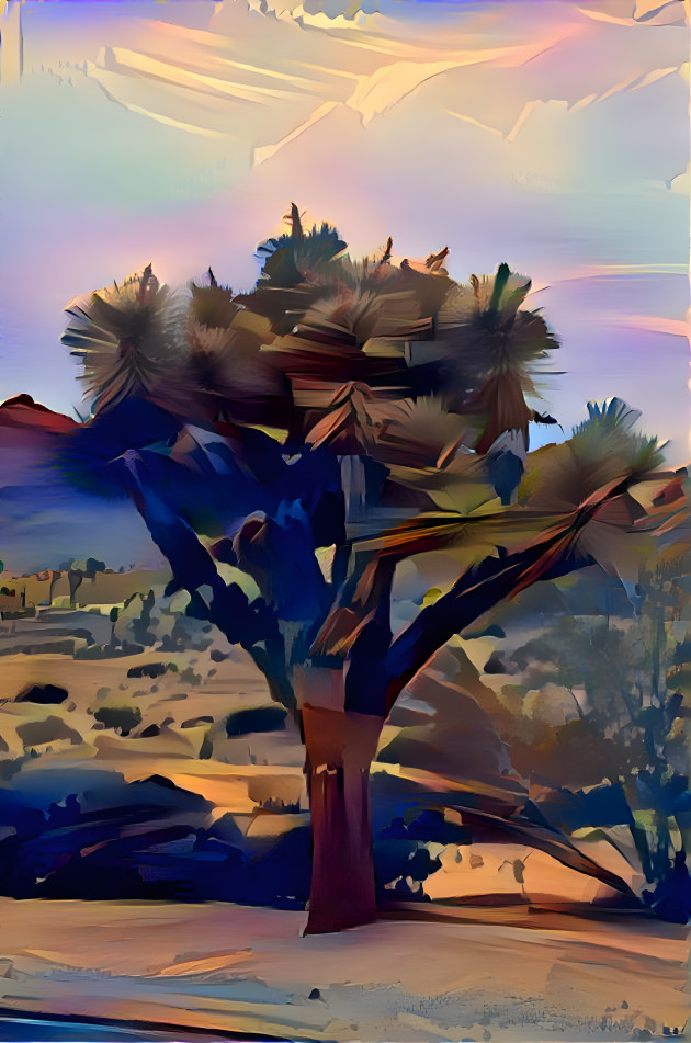 Joshua Tree