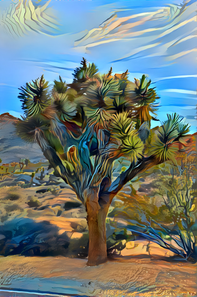 Joshua Tree