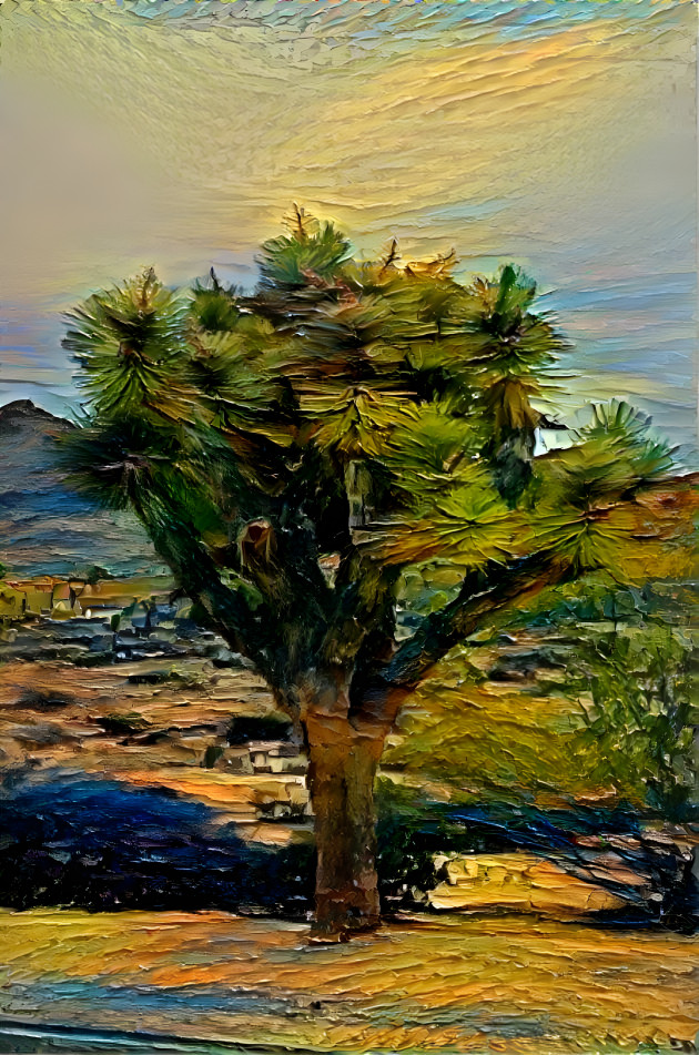 Joshua Tree