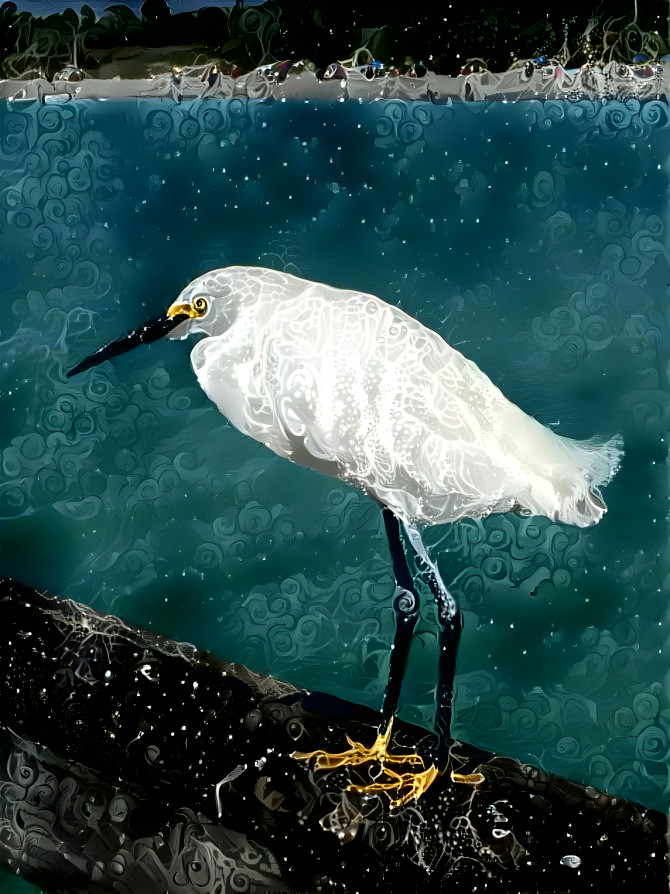 Bird on a pier