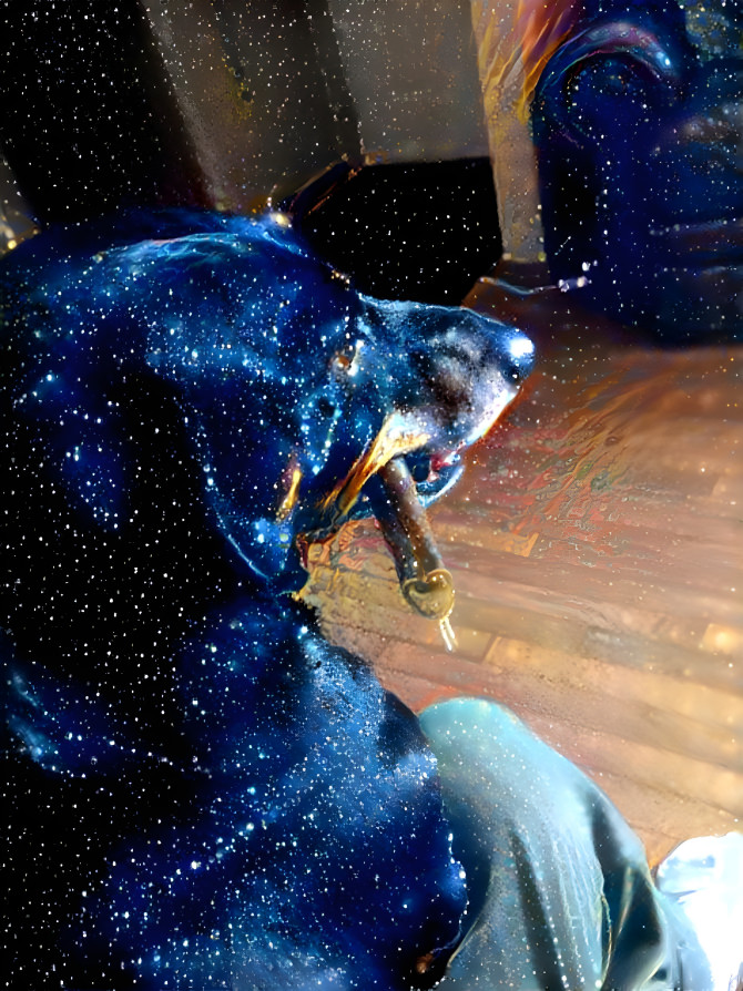 Galaxy Dog