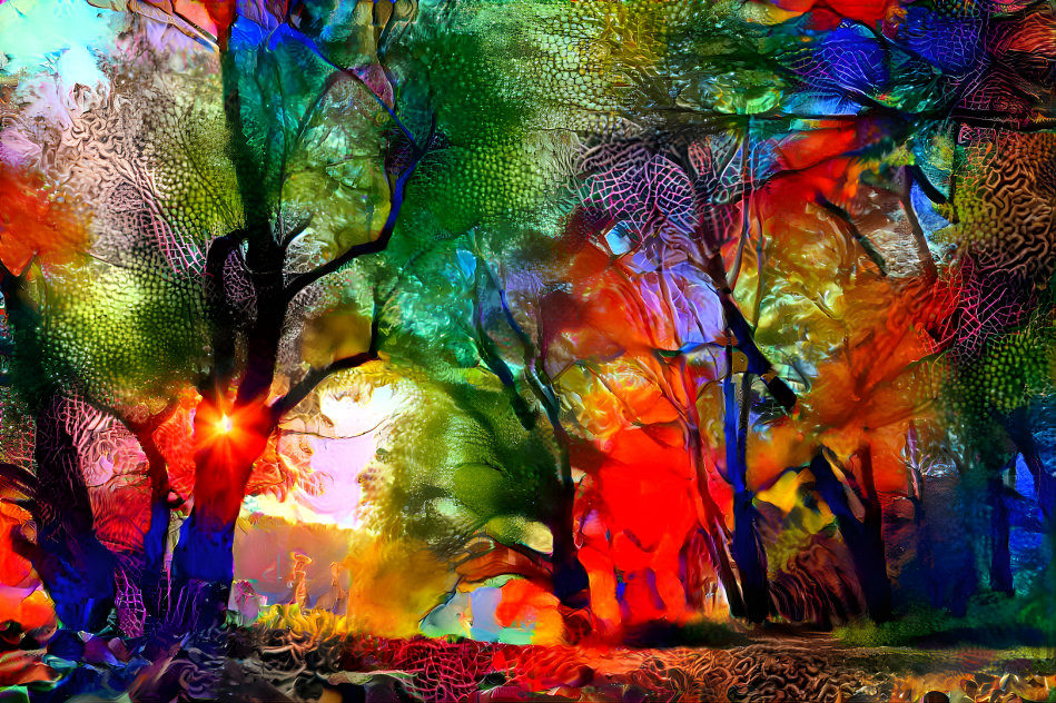 rainbow forest