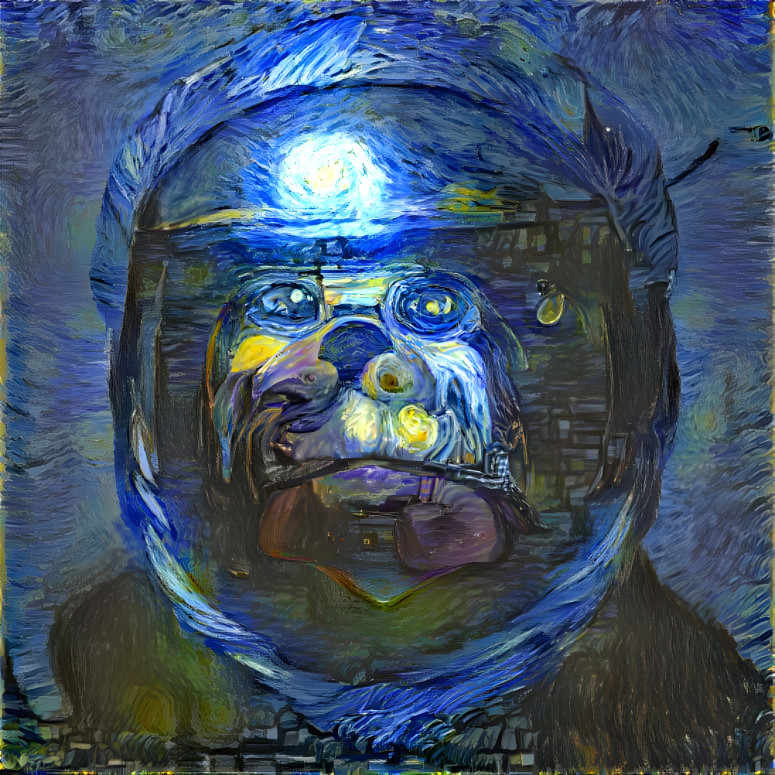 Space Ape Astronaut Helmet