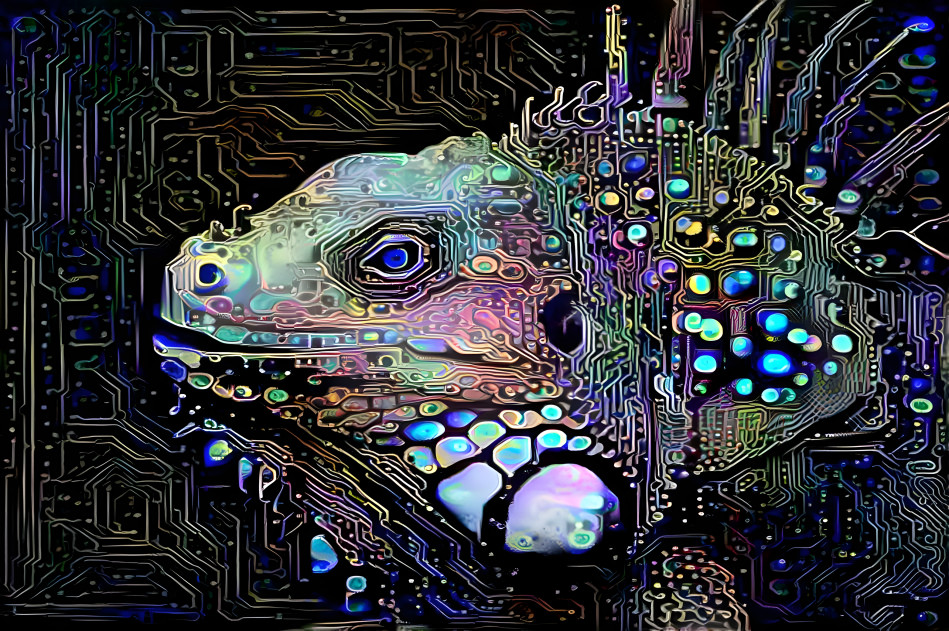 Circuit Iguana