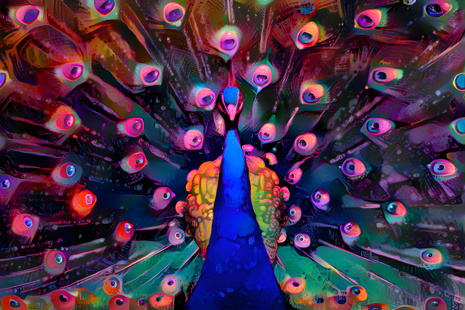 Peacock of Color