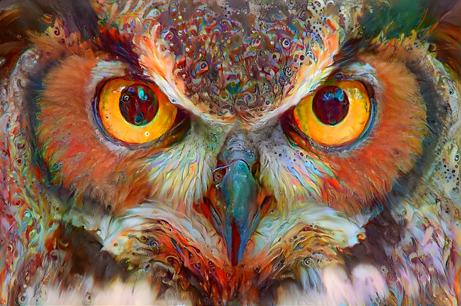 Rainbow Owl