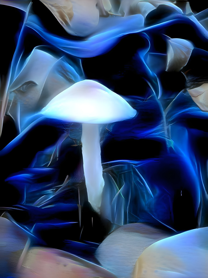 Blue Fungi