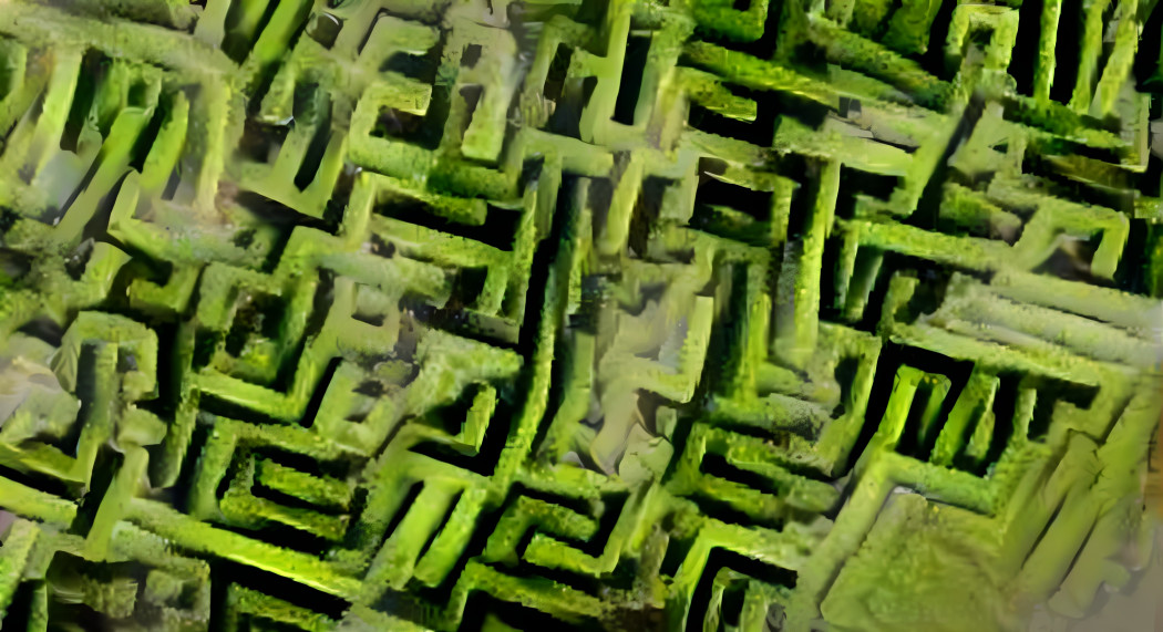 Maze