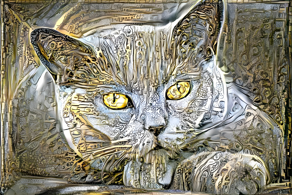 Gold and Silver cat ...