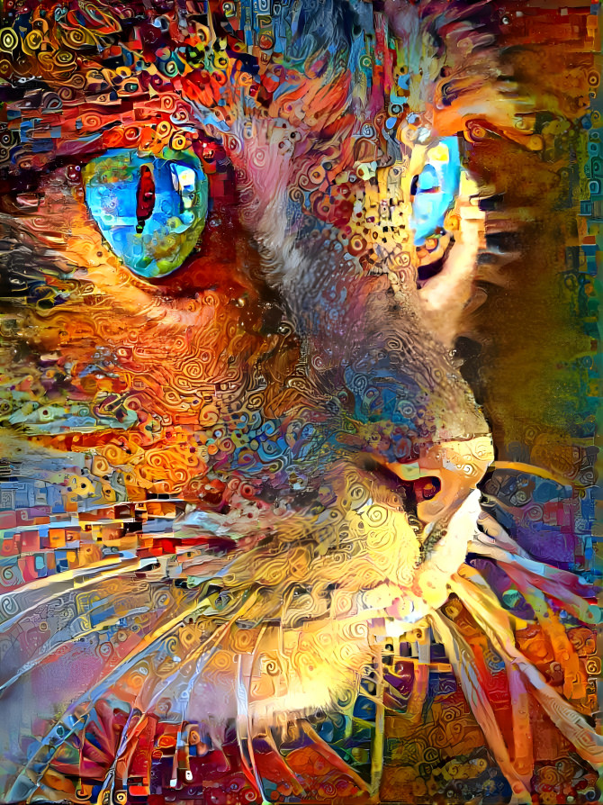 Colorful Kitty ...