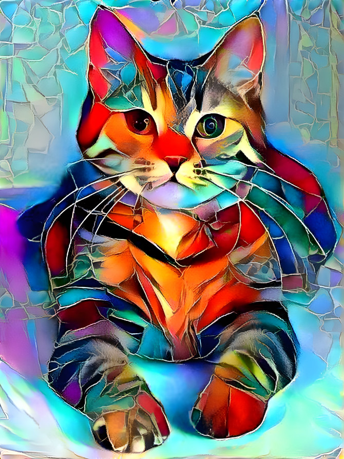 Harlekin cat