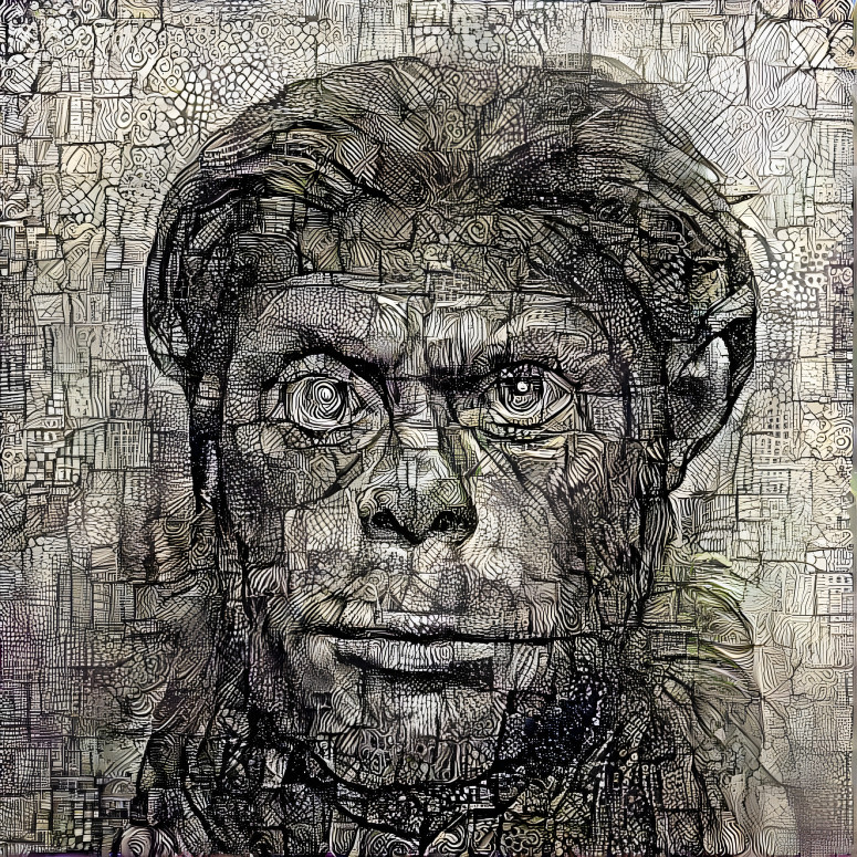 Portrait of an Ape by Dana Edwards