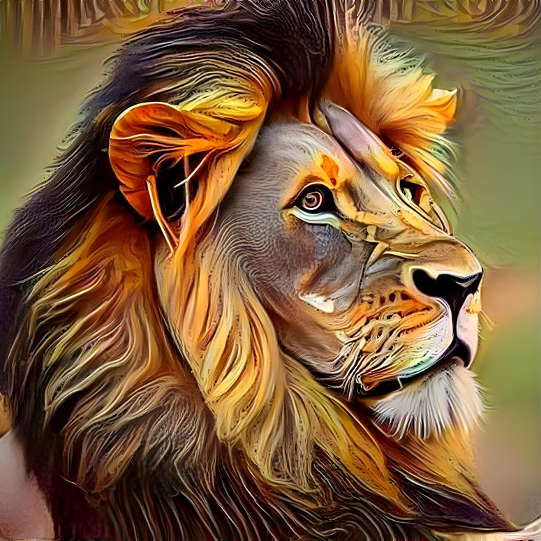 Lion by Dana Edwards