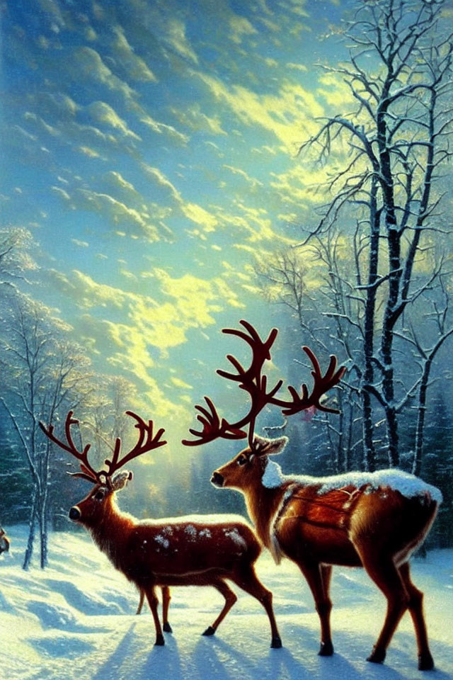 Snowy forest scene with two reindeer and bare trees at sunrise or sunset